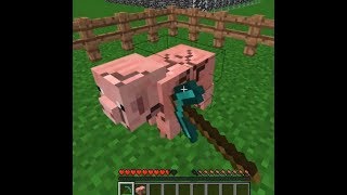 this cursed Minecraft video will trigger you