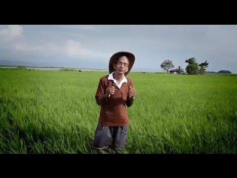 A World Changed: 100 Years of Philanthropy