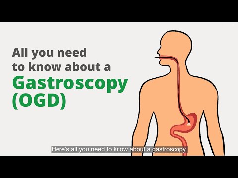 Gastroscopy (OGD): What is it for, and what should I expect?