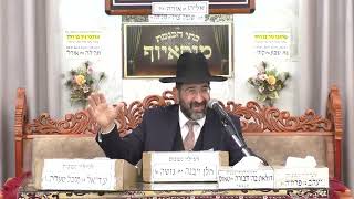 הרב אייל שרגא | פרשת וארא תשפ"ו | מוסאיוף (בית הכנסת מוסאיוף - ערוץ חדש) - התמונה מוצגת ישירות מתוך אתר האינטרנט יוטיוב. זכויות היוצרים בתמונה שייכות ליוצרה. קישור קרדיט למקור התוכן נמצא בתוך דף הסרטון