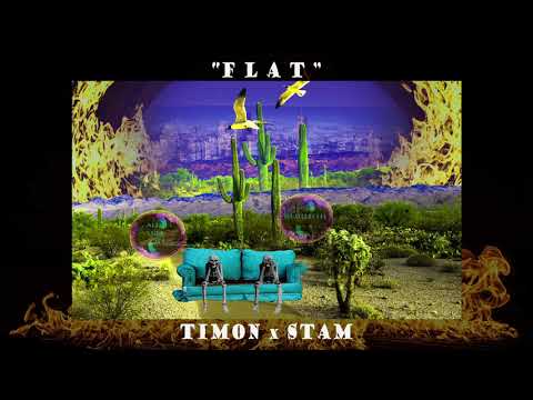 Timon x Stam - Flat