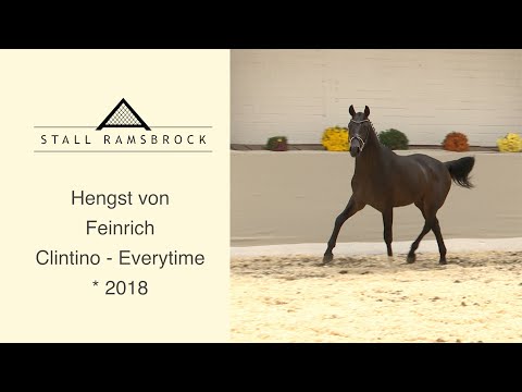 Nr 23 Feinrich x Clintino