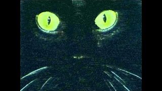 MEG - Volevo Un Gatto Nero - Lyrics FR