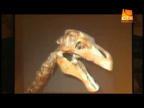 010. Vestea Buna - Emil Silvestru