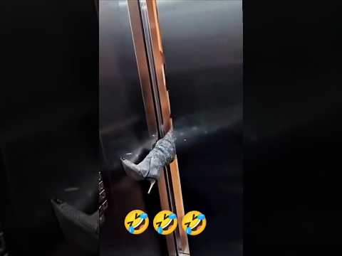 ПОТЕРЯЛАСЬ!!!