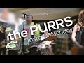 The Purrs - “Taste of Monday” (Live at Porchfest 7/20/2024)