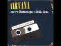 dave grohl's demo - milk 