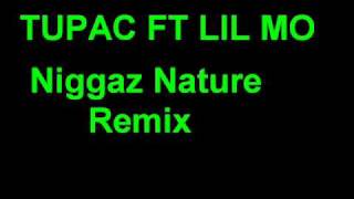 Tupac-Niggaz Nature Remix ft lil Mo