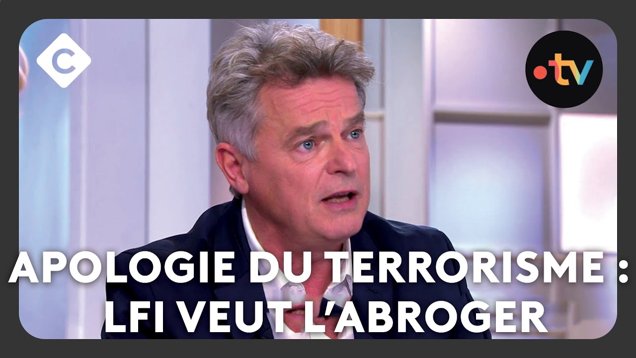 Apologie du terrorisme : que changerait la proposition de LFI ? - C à Vous