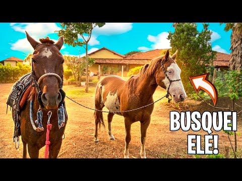 I TOOK THE CBT TO FIND THE MUSTANG