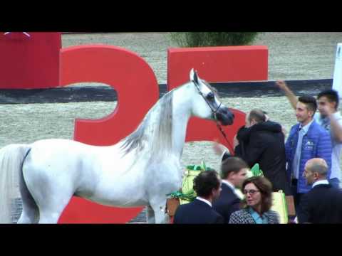 Memories of Paris - Champion Senior Male 2015
