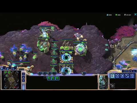 White-Ra [P] vs Vizzard [T] FP VOD - October 26 2025 - PvT on Tokamak and Incorporeal [HD]