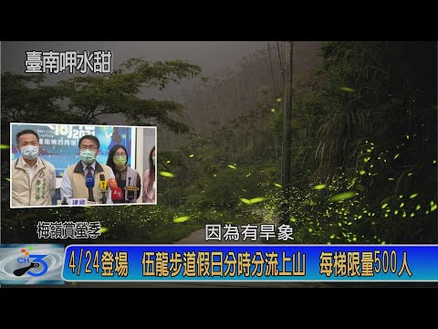 梅嶺看火金姑 伍龍步道假日 每梯限量500人