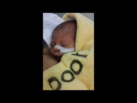 bahtalo to bijando dive fabijan