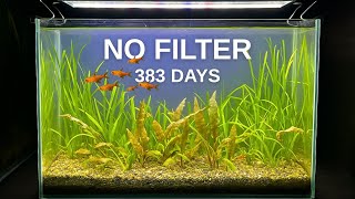 383 Days Old Low Tech Nano Tank Care • No Filter, No Co2, Dirted Tank