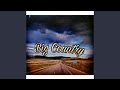 You Re Stronger Than Me Cover