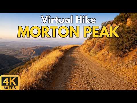 4K Virtual Hike – Morton Peak, San Bernardino National Forest | 53-Min Scenic Uphill POV Walk