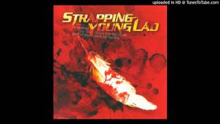 Strapping Young Lad - Consequence