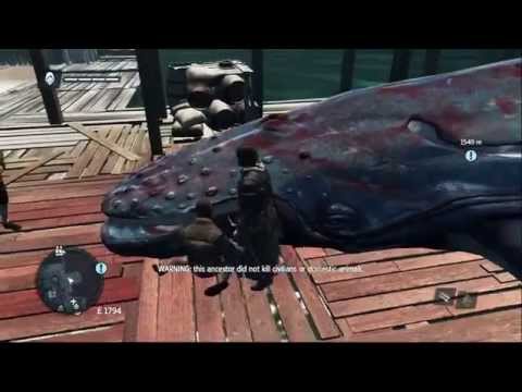Assassins Creed Rogue - Saving A Whale HD