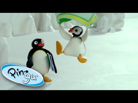 Pingu And Pinga Experience A Windy Day!💨@Pingu Cartoons For Kids