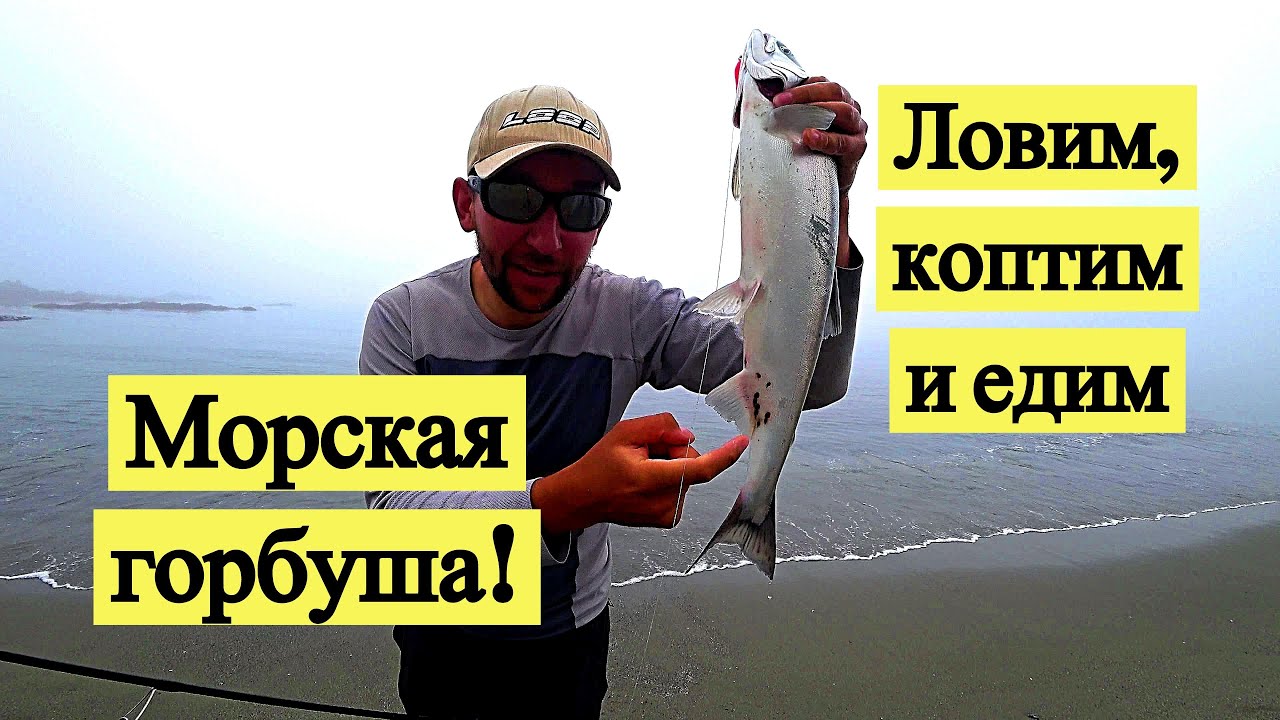 Морская горбуша! Ловим, коптим и едим