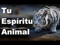Tu Espíritu Animal, Según tu Signo del Zodiaco