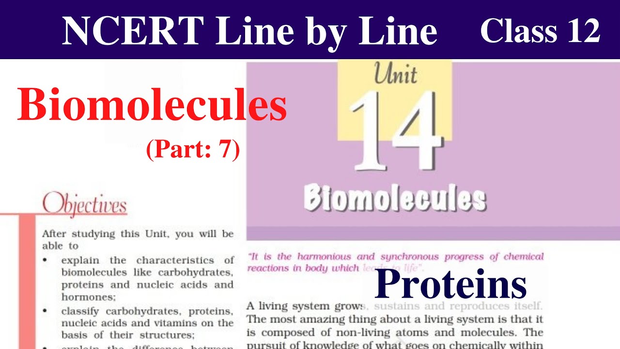 Biomolecules Class 12 Chemistry | Protein structure | Denaturation | ncert chemistry class 12