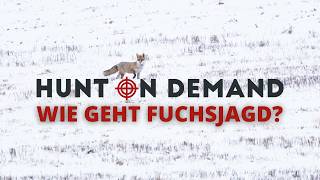 Wie geht Fuchsjagd? 🦊 von @wildhuntblackforest4494