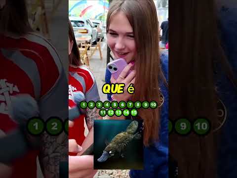 Acerte os 15 animais e ganhe 100 reais #agro #fazenda #animais #roça #curiosidades