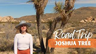 Joshua Tree Road Trip from Scottsdale- Cholla Cactus Garden, Skull Rock, Hidden Valley