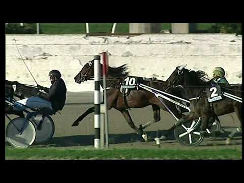 Trotto 11/12/2020 - 4ª corsa