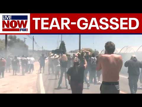 Video | ICE Raids: Protesters tear-gassed by federal agents