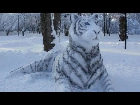 Делаем снежные фигуры Тигр Символ года Тигр из снега