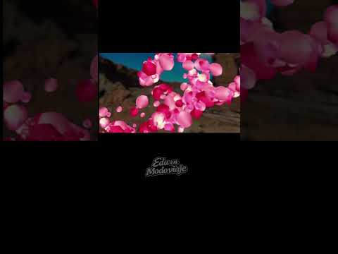 El Cañadón Escondido de El Chocón 😱 | El secreto mejor guardado de Neuquén 🇦🇷Descripción
