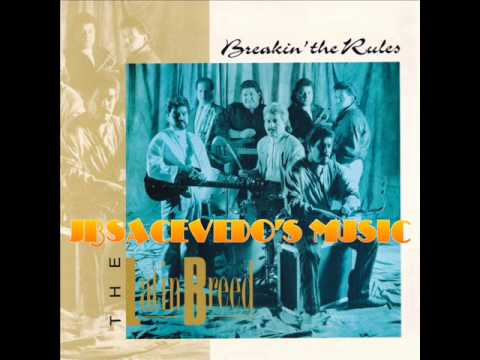 The Latin Breed-Que Chulos Ojos