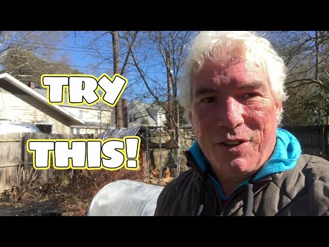 Fusarium Wilt Solutions That Actually Work