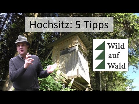 🦌5 things you should consider before building a tree stand!