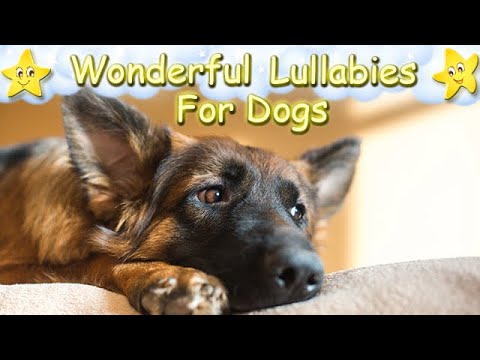 Dog Music For German Shepherds ♫ Calm Your Puppy Within 5 Minutes