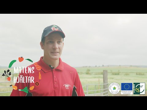 Matens hjältar - Kullsgärde