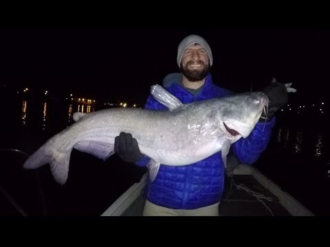 Catching Catfish During The Spring Transition