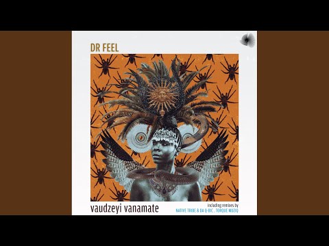 Vaudzeyi Vanamate (Spirit Mix)