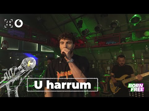 Ledri Vula - U harrum | A•Live•Night - 4K