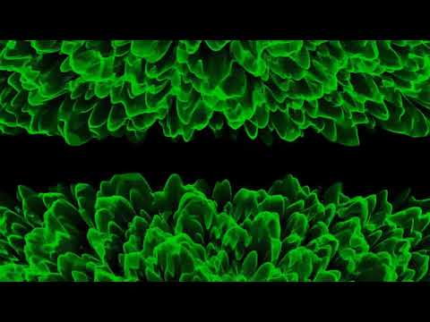 Club Visuals 943 - Green Upside Down Video Background loop