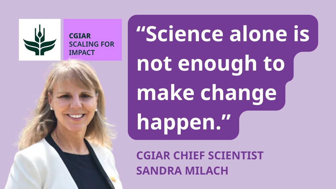 Go Big or Go Home  CGIAR's Chief Scientist on Why Scaling Matters