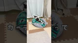 寛ぐフレブルを呼んだら全く相手にされなかったw