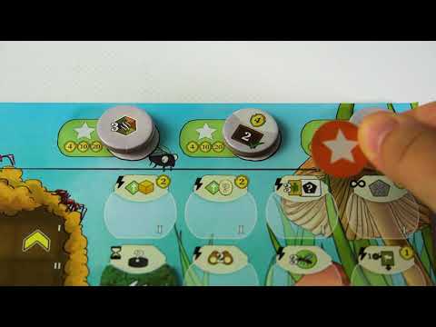 ANTS - Boardgame Tutorial
