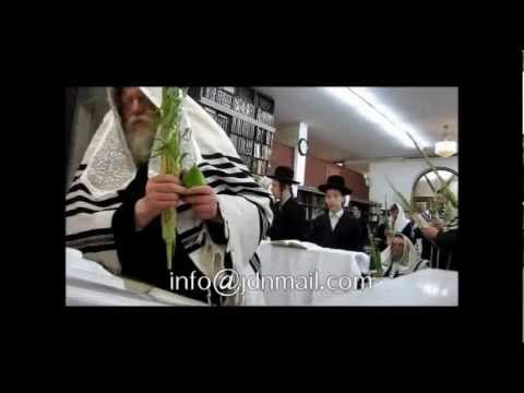 Sukkos 5773 In Modzitz