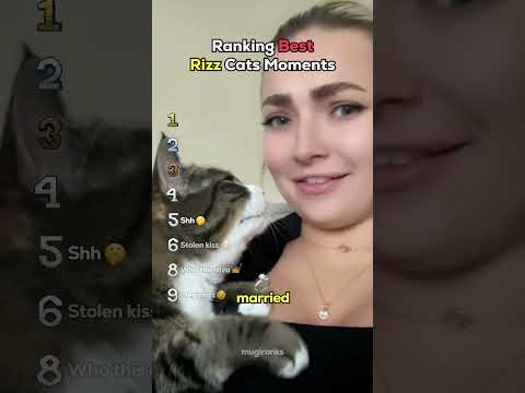 Ranking Best Rizz Cats Moments