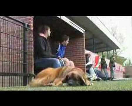 Jodan Boys 5 - Oudewater 3