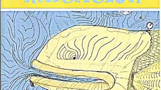 Terrorist Hates America - Mutation Comedy